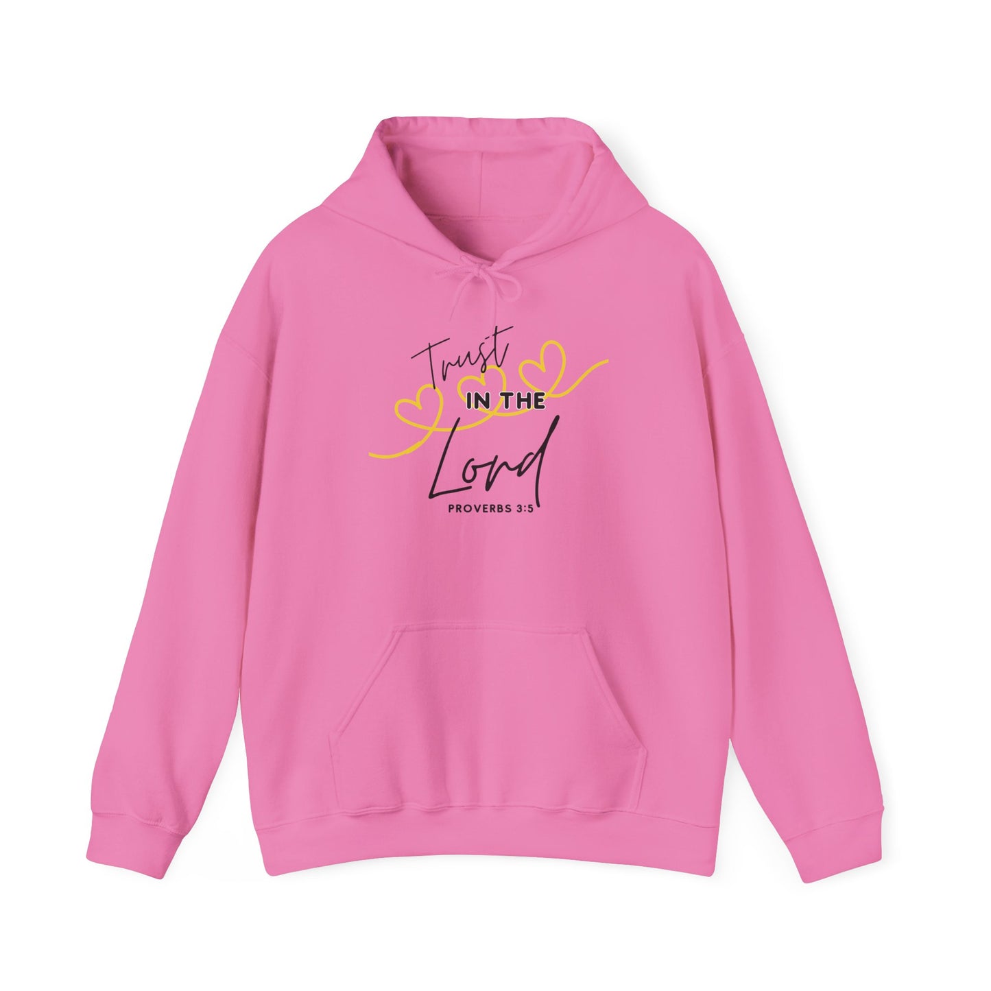 Inspirational Hooded Sweatshirt, Trust in the Lord Hoodie, Comfort Sweatshirt, Religious Apparel, Faith-Based Gift