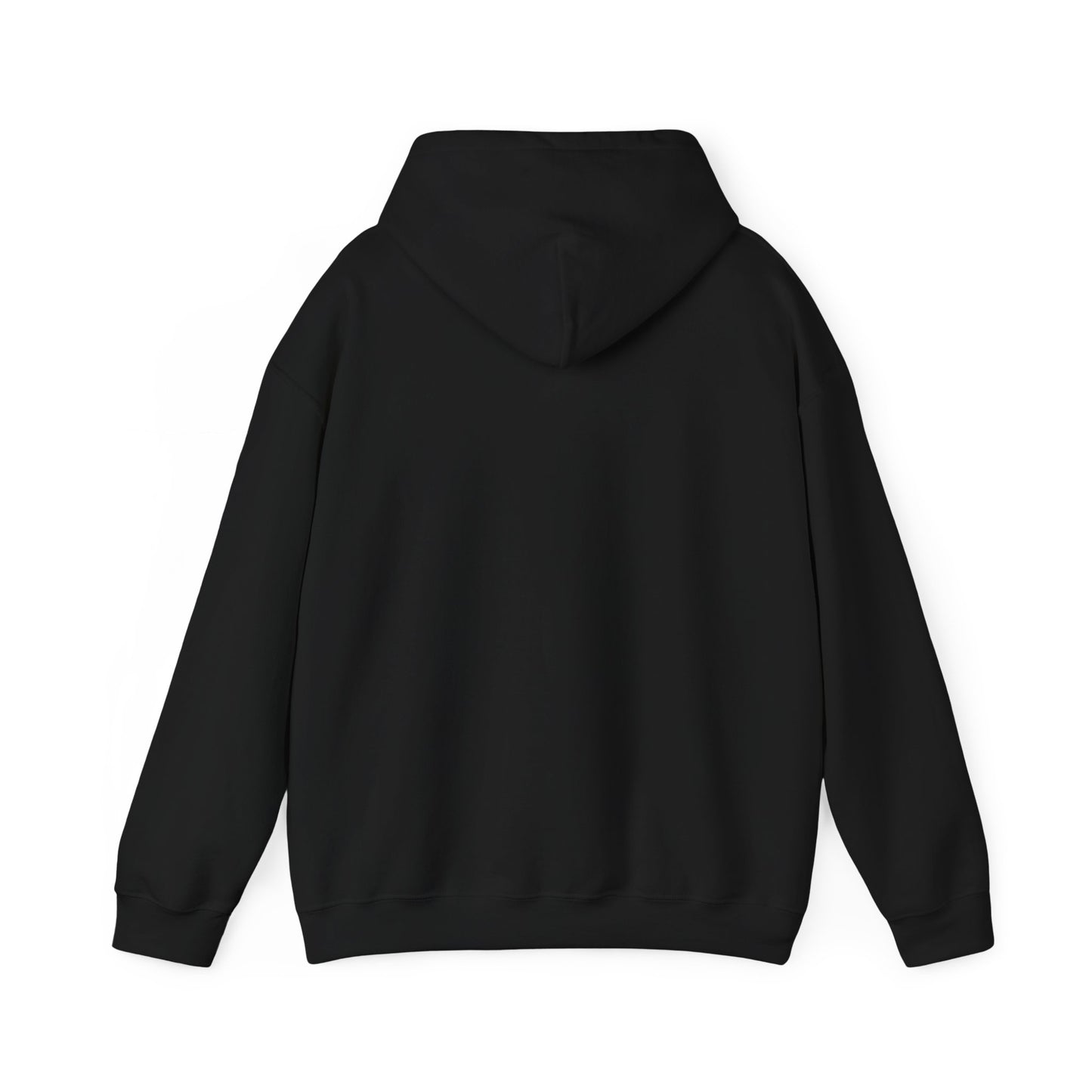 Inspirational Hooded Sweatshirt, Trust in the Lord Hoodie, Comfort Sweatshirt, Religious Apparel, Faith-Based Gift