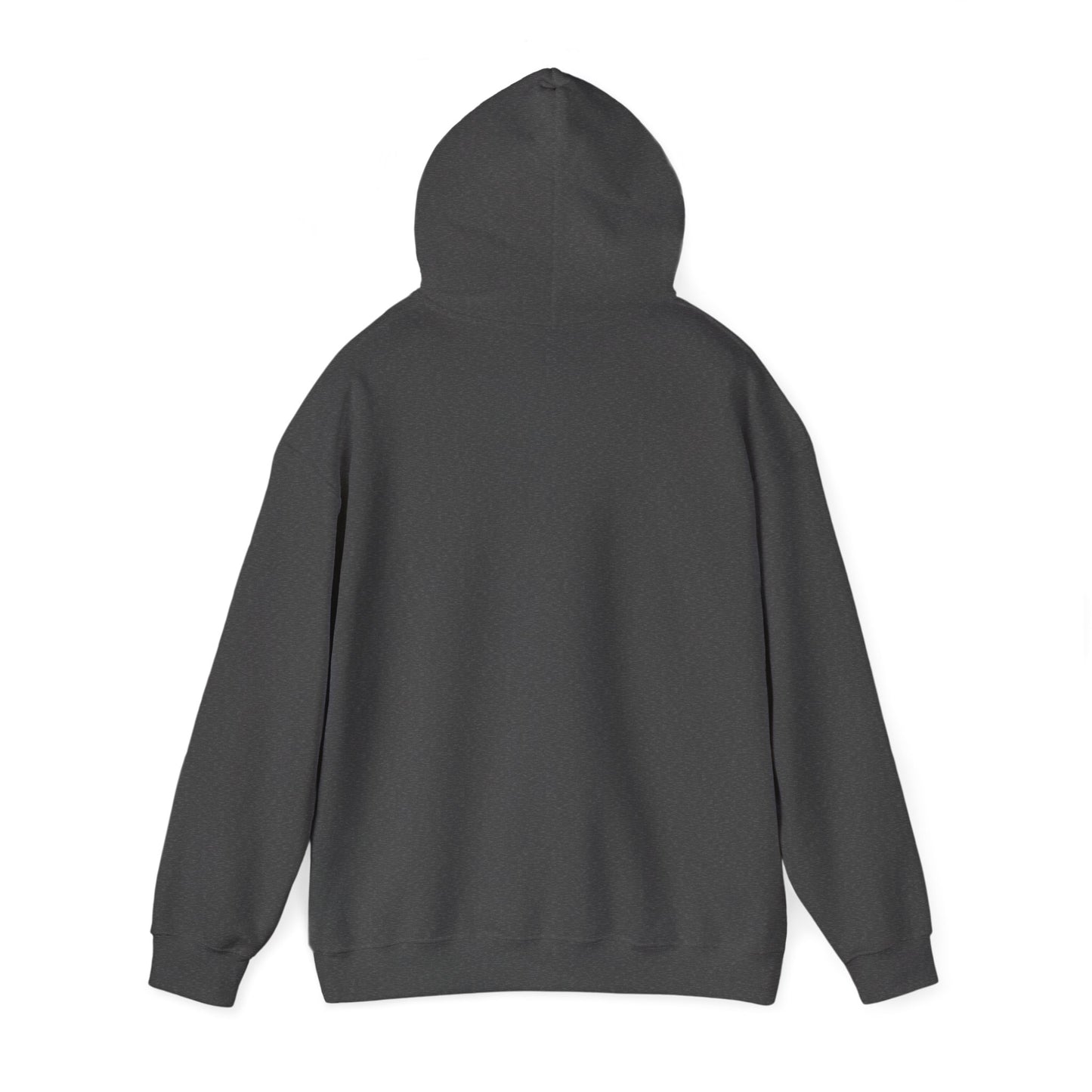 Inspirational Hooded Sweatshirt, Trust in the Lord Hoodie, Comfort Sweatshirt, Religious Apparel, Faith-Based Gift