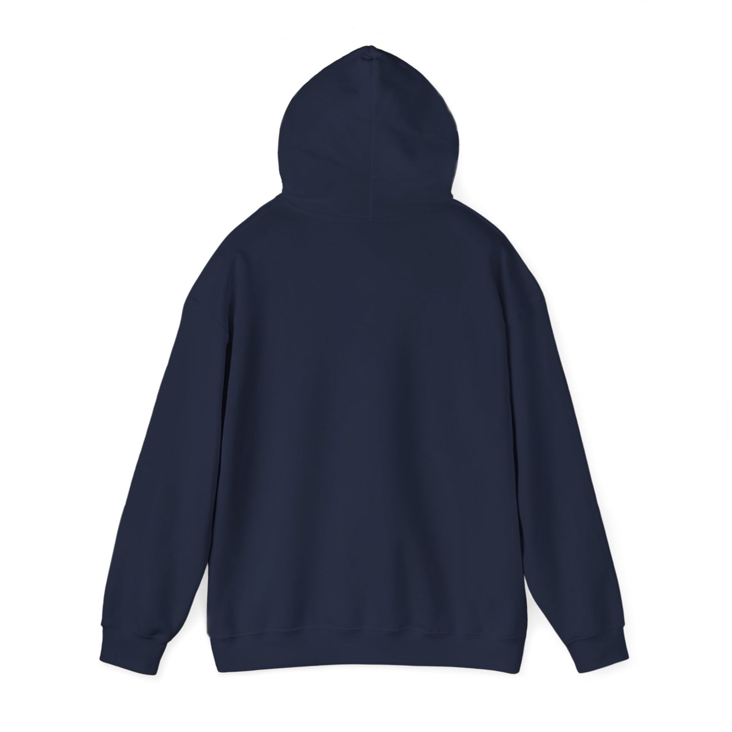 Inspirational Hooded Sweatshirt, Trust in the Lord Hoodie, Comfort Sweatshirt, Religious Apparel, Faith-Based Gift