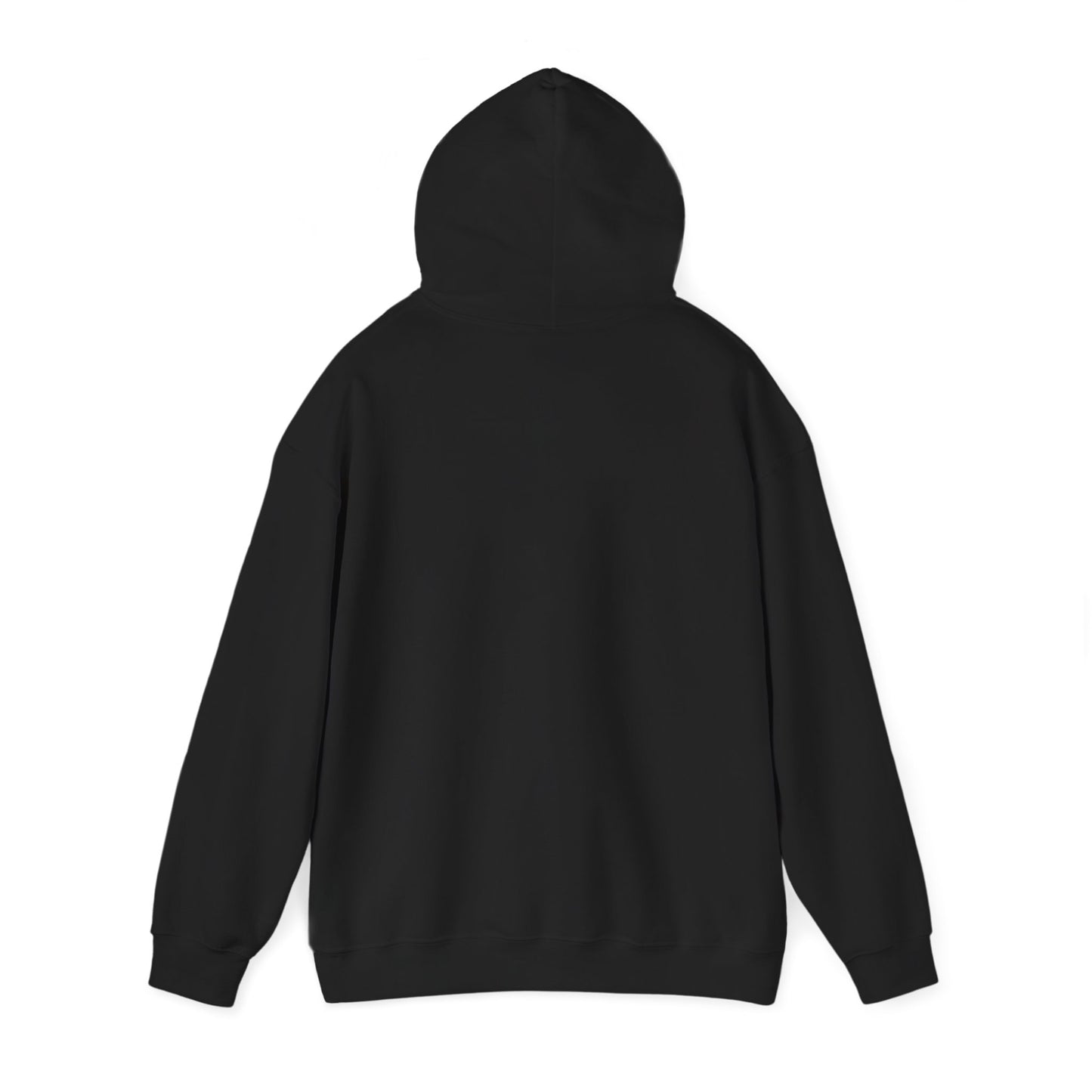 Inspirational Hooded Sweatshirt, Trust in the Lord Hoodie, Comfort Sweatshirt, Religious Apparel, Faith-Based Gift