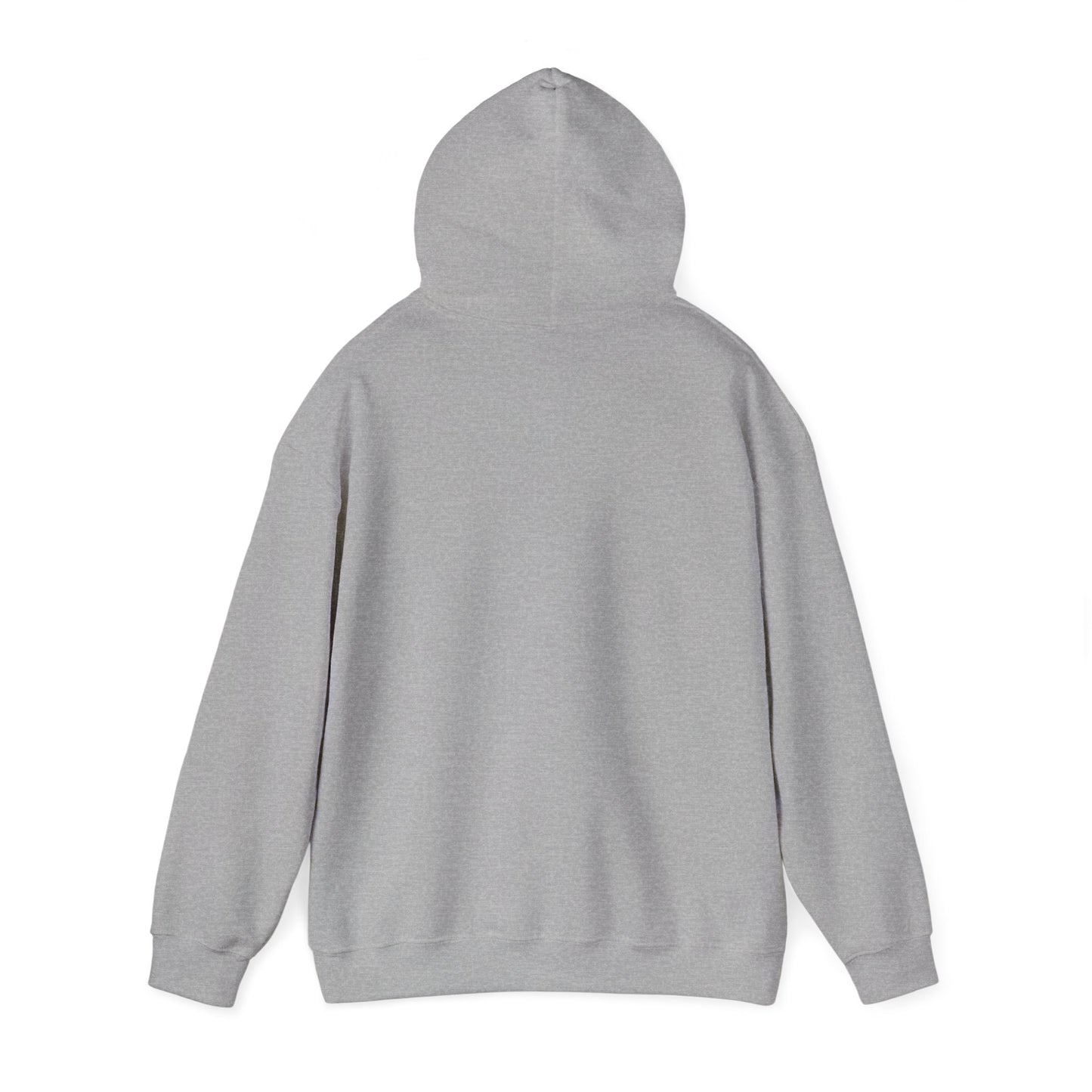 Inspirational Hooded Sweatshirt, Trust in the Lord Hoodie, Comfort Sweatshirt, Religious Apparel, Faith-Based Gift
