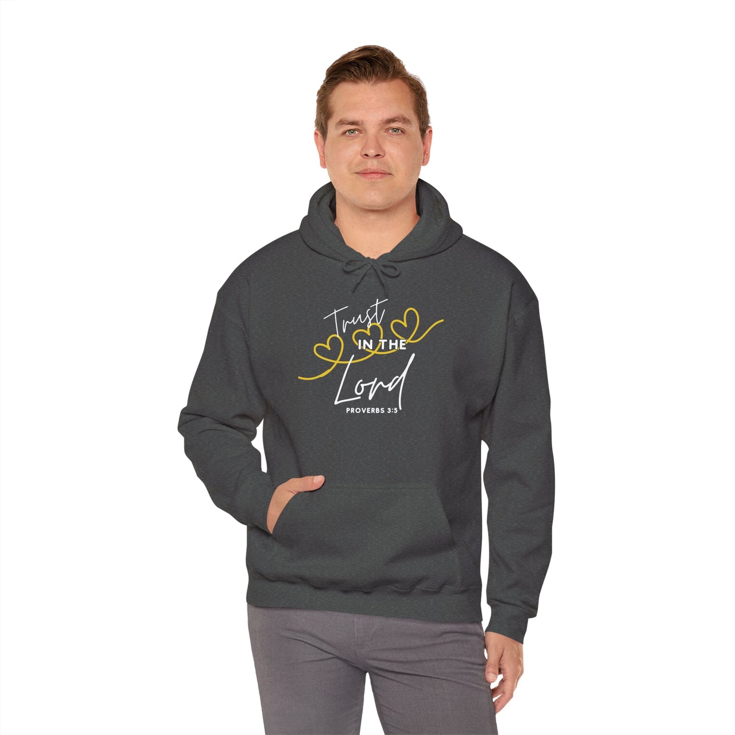 Inspirational Hooded Sweatshirt, Trust in the Lord Hoodie, Comfort Sweatshirt, Religious Apparel, Faith-Based Gift