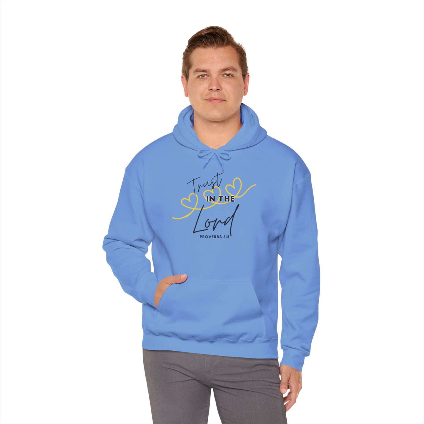 Inspirational Hooded Sweatshirt, Trust in the Lord Hoodie, Comfort Sweatshirt, Religious Apparel, Faith-Based Gift