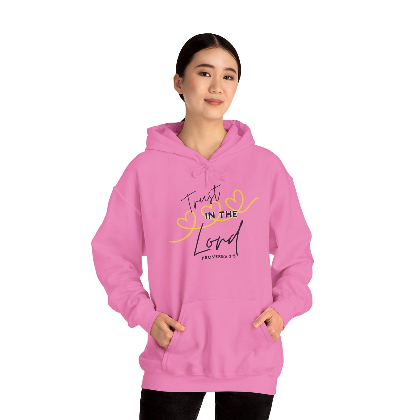 Inspirational Hooded Sweatshirt, Trust in the Lord Hoodie, Comfort Sweatshirt, Religious Apparel, Faith-Based Gift