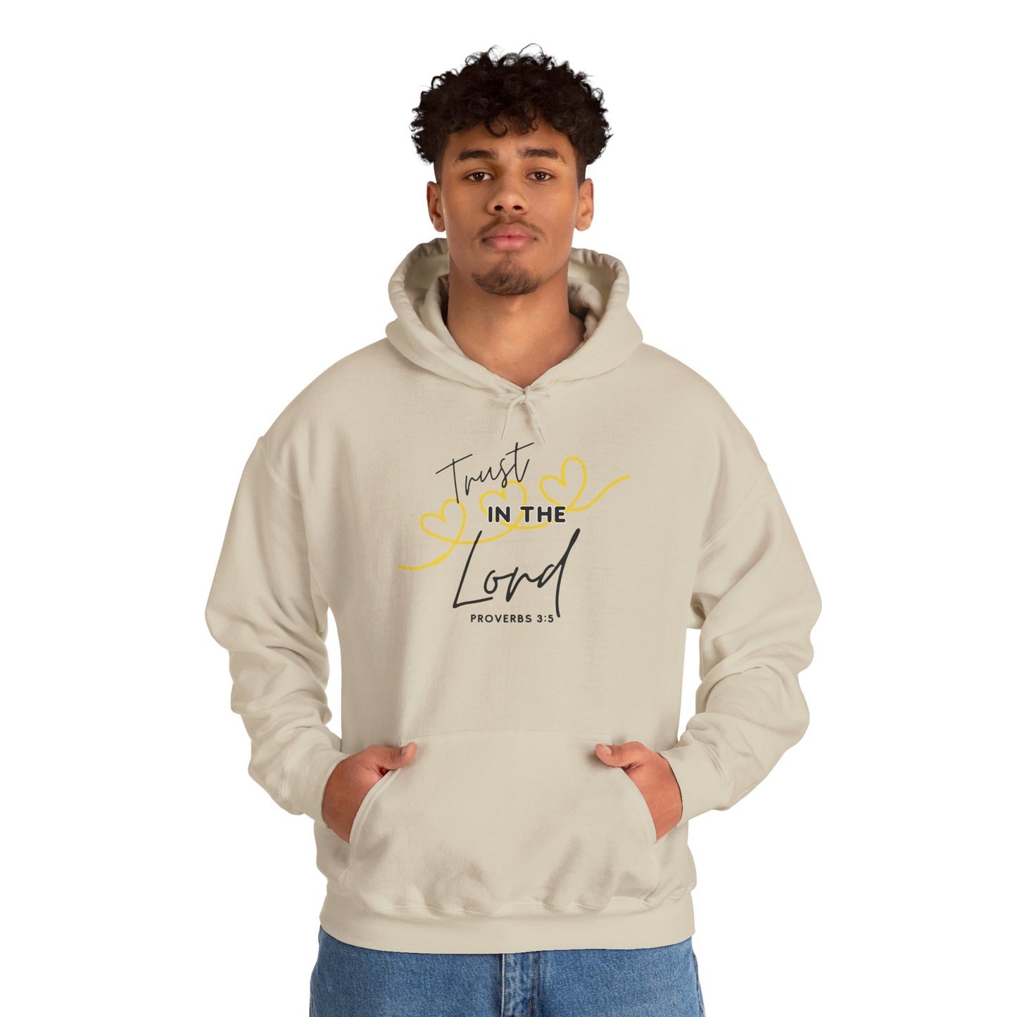 Inspirational Hooded Sweatshirt, Trust in the Lord Hoodie, Comfort Sweatshirt, Religious Apparel, Faith-Based Gift