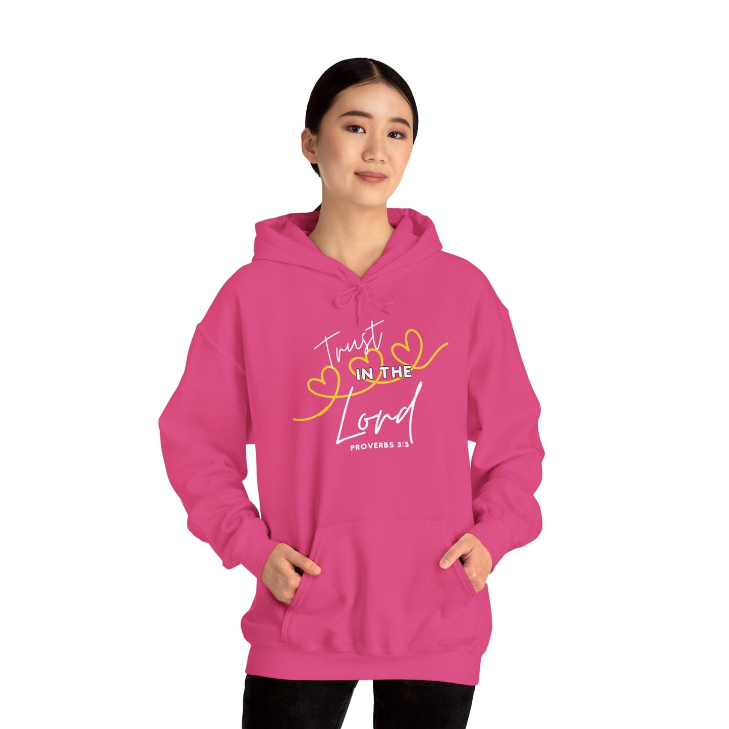 Inspirational Hooded Sweatshirt, Trust in the Lord Hoodie, Comfort Sweatshirt, Religious Apparel, Faith-Based Gift